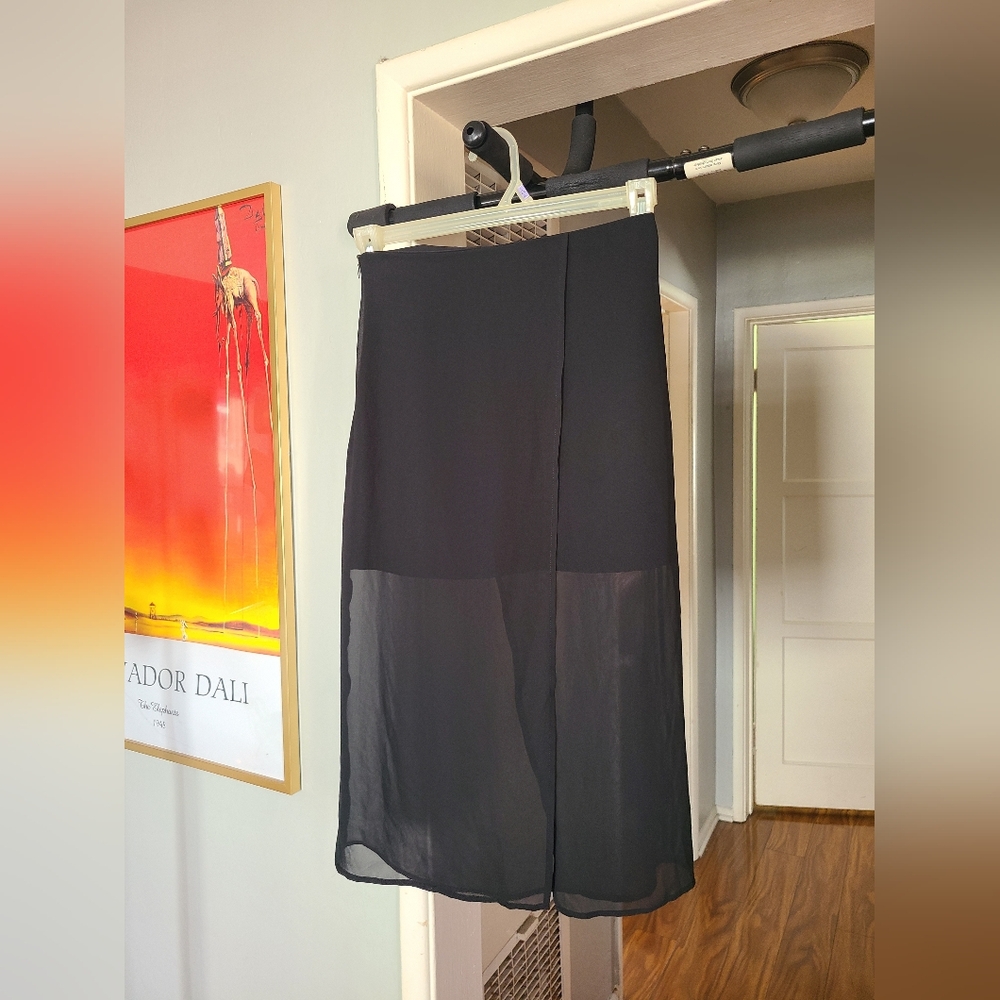 Sheer Skirt